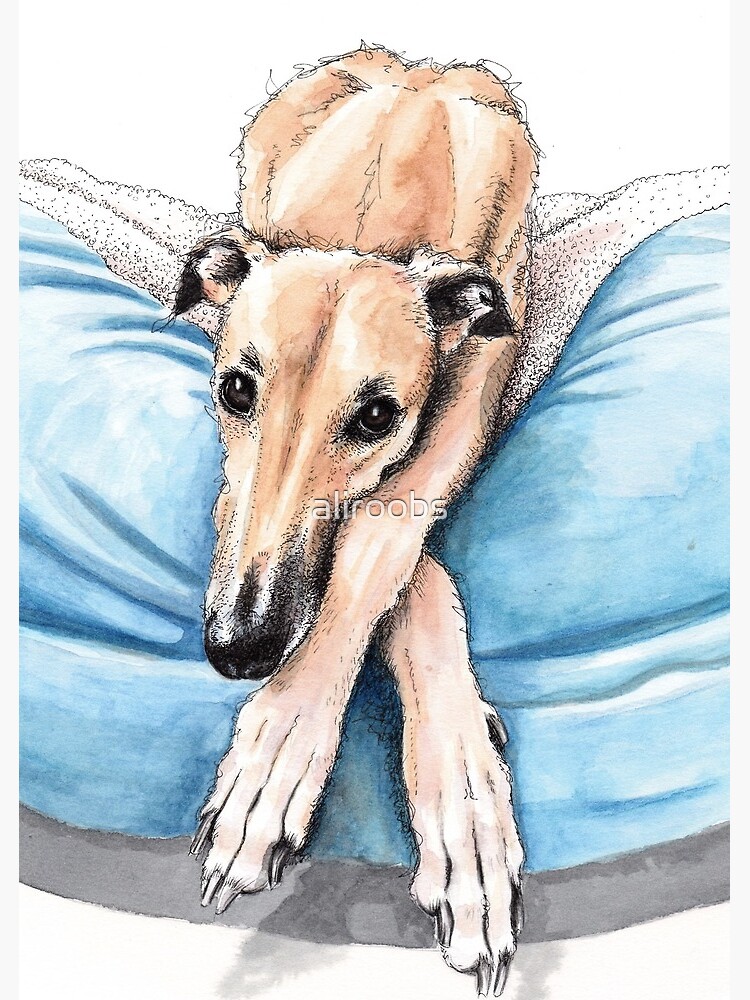 Premium Photo  Beautiful portrait of greyhound dog resting over a