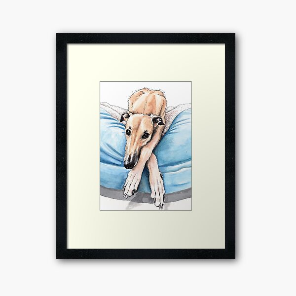 Greyhound on blue bed Framed Art Print