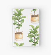Fiddle leaf fig, houseplant, potted plant, fiddle leaf Hardcover Journal