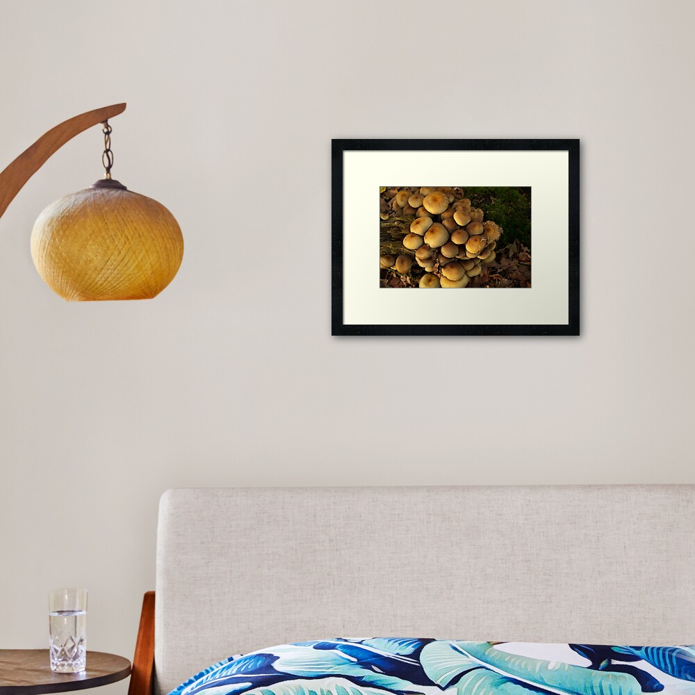 Item preview, Framed Art Print designed and sold by steppeland.