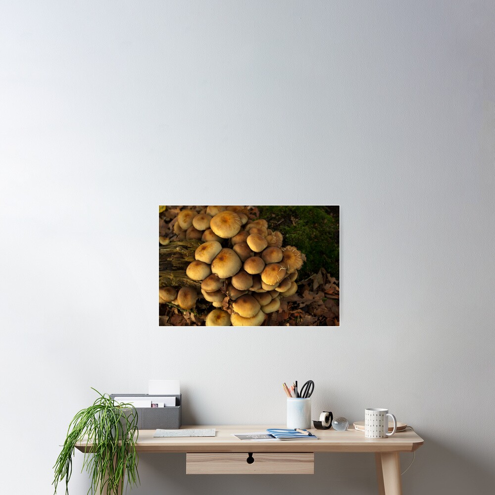 Item preview, Poster designed and sold by steppeland.