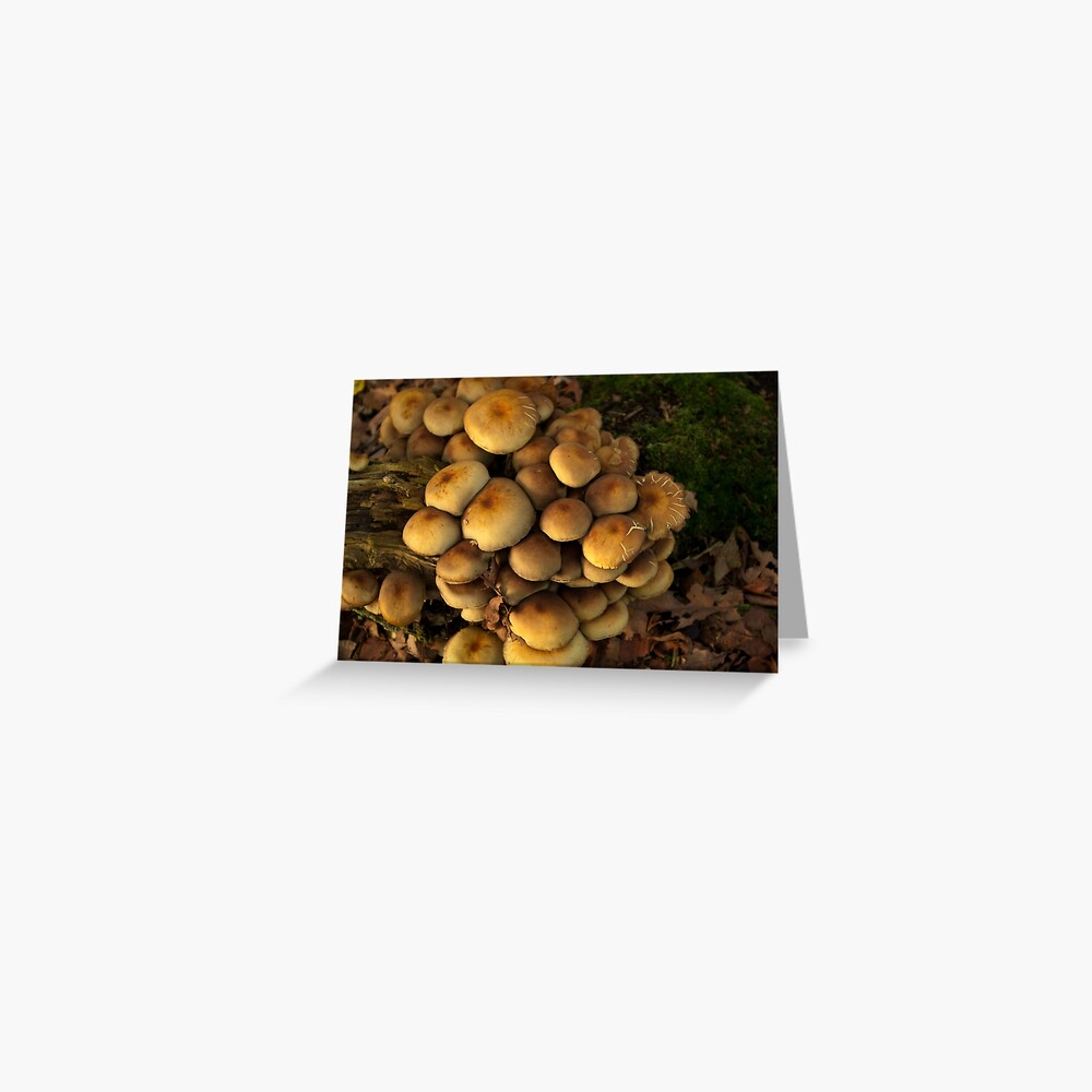 Item preview, Greeting Card designed and sold by steppeland.
