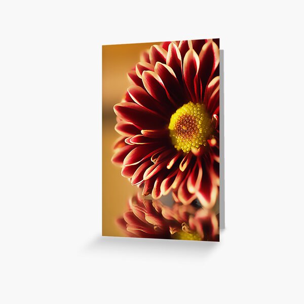 Simple Flower Greeting Card