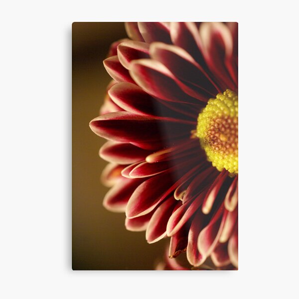 Simple Flower II Metal Print
