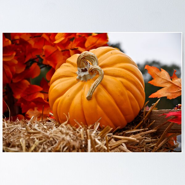 Item preview, Fall Series designed and sold by Wendy Mogul.