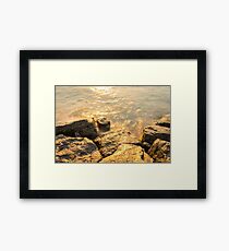 Rough Spun Gold - Framed Print