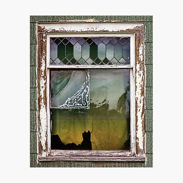 The Cat In The Window Photographic Print