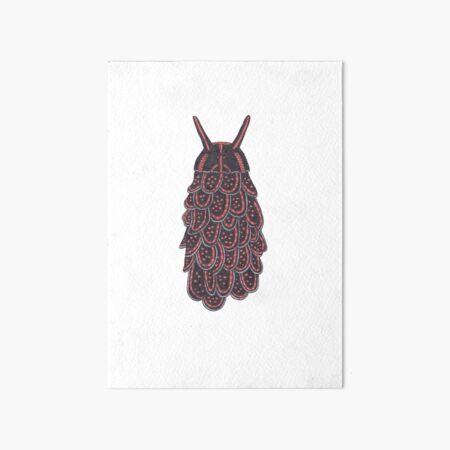 Cyerce nigricans Art Board Print