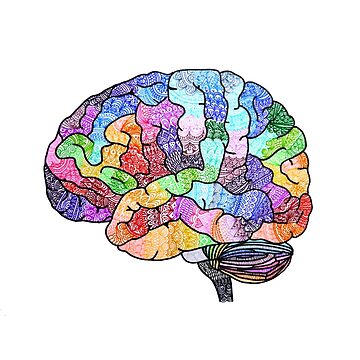 Artwork thumbnail, The Rainbow Brain by Hana Ayoob