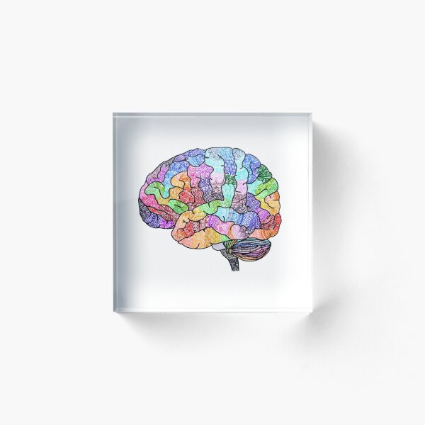 The Rainbow Brain Acrylic Block