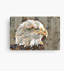 Eagle Profile Canvas Print
