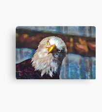 Excuse me?! Canvas Print
