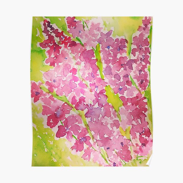 Larkspur Poster