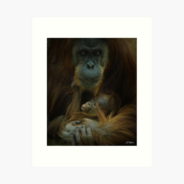 Item preview, Motherhood designed and sold by Bill Stephens.