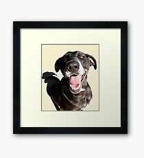 Dork Framed Print