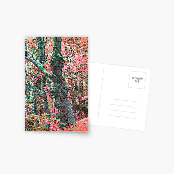 SPIRIT OF THE WOODS Postcard
