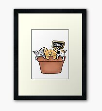 Kittens and Catnip Framed Print