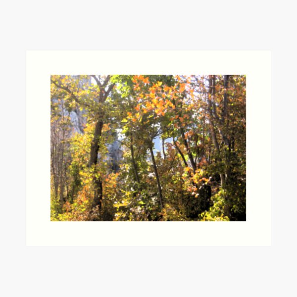 AUTUMN GAME IN THE WOODS Art Print