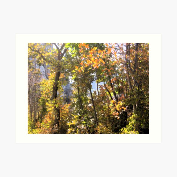AUTUMN GAME IN THE WOODS Art Print