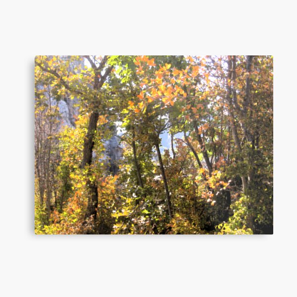 AUTUMN GAME IN THE WOODS Metal Print