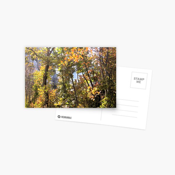 AUTUMN GAME IN THE WOODS Postcard