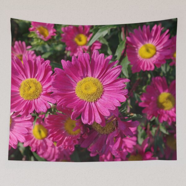 Aperçu de l'œuvre Summer Asters 4636 créée et vendue par rvjames.