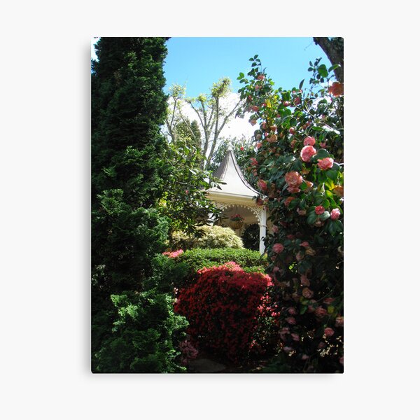 Introducing Leura Gardens~bd4 Canvas Print