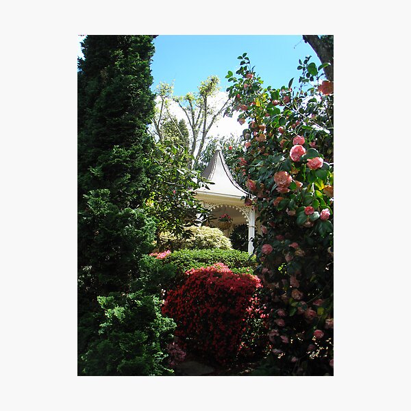 Introducing Leura Gardens~bd4 Photographic Print