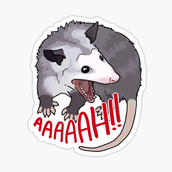 Possum Scream Meme Stickers Redbubble