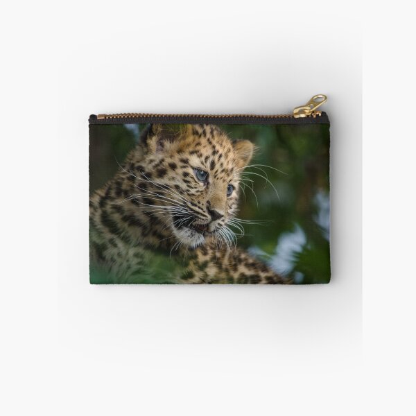 Item preview, Amur Leopard cub in tree designed and sold by photosbygemmad.