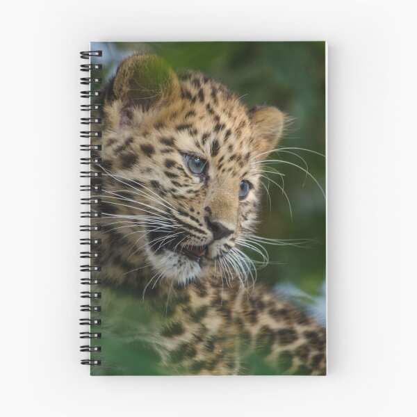 Item preview, Amur Leopard cub in tree designed and sold by photosbygemmad.