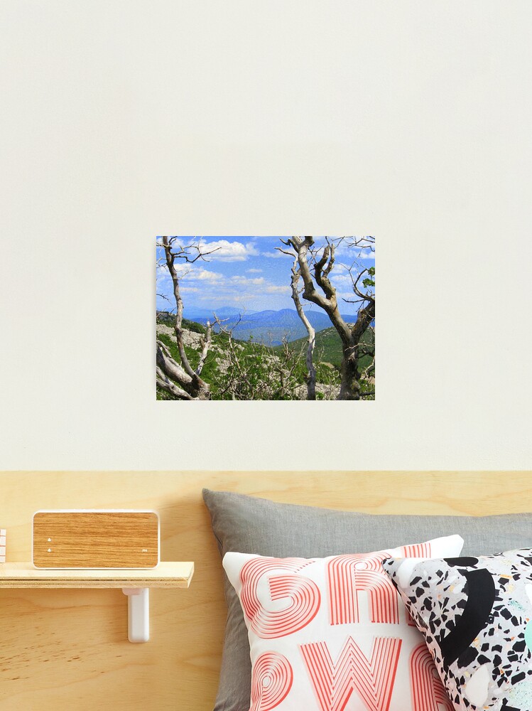 Thumbnail 2 of 3, Photographic Print, BLUE VIEW and THE OLD TREE designed and sold by TatianaMichaela.