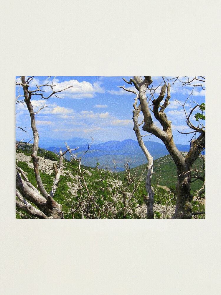 Thumbnail 1 of 3, Photographic Print, BLUE VIEW and THE OLD TREE designed and sold by TatianaMichaela.