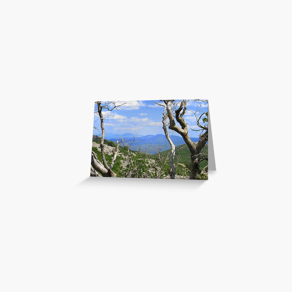 Item preview, Greeting Card designed and sold by TatianaMichaela.