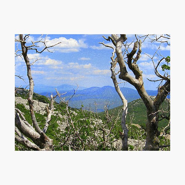 Photographic Print