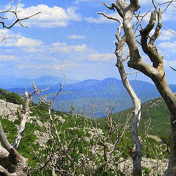 Artwork thumbnail, BLUE VIEW and THE OLD TREE by TatianaMichaela