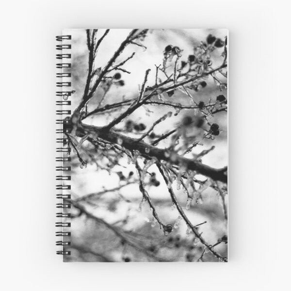 Item preview, Frozen branch designed and sold by Rees Gordon.
