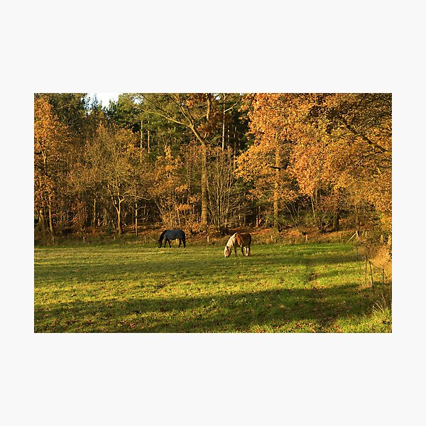All will be well Photographic Print