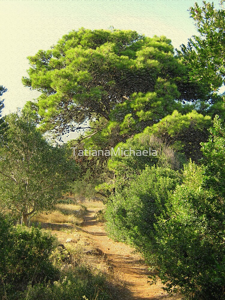 Thumbnail 3 of 3, Photographic Print, WHERE THE DREAMS COME TRUE designed and sold by TatianaMichaela.