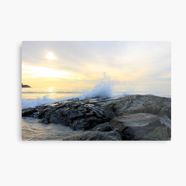 It's A Beautiful Morning Metal Print