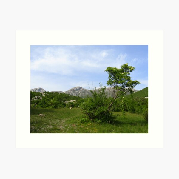 LAND OF FAIRIES and ANGELS Art Print