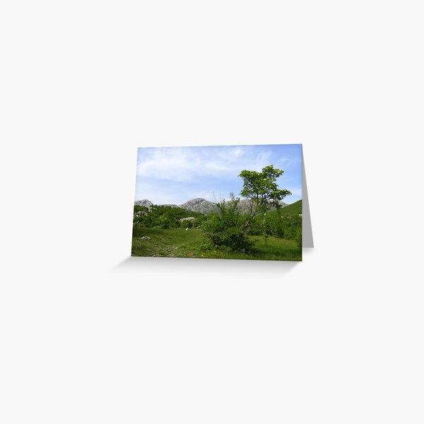 LAND OF FAIRIES and ANGELS Greeting Card