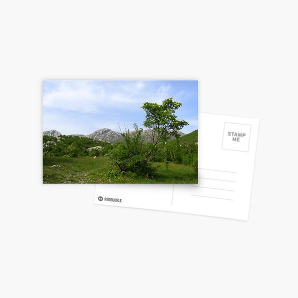 LAND OF FAIRIES and ANGELS Postcard