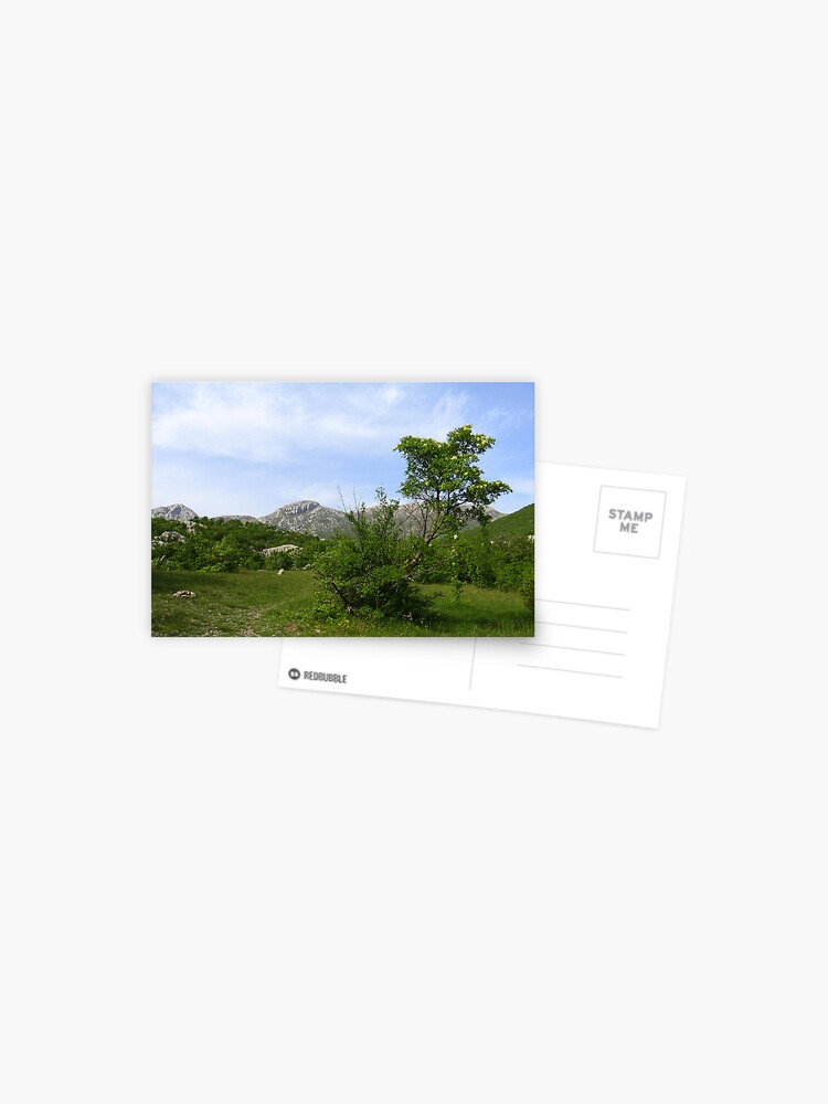 Thumbnail 1 of 2, Postcard, LAND OF FAIRIES and ANGELS designed and sold by TatianaMichaela.