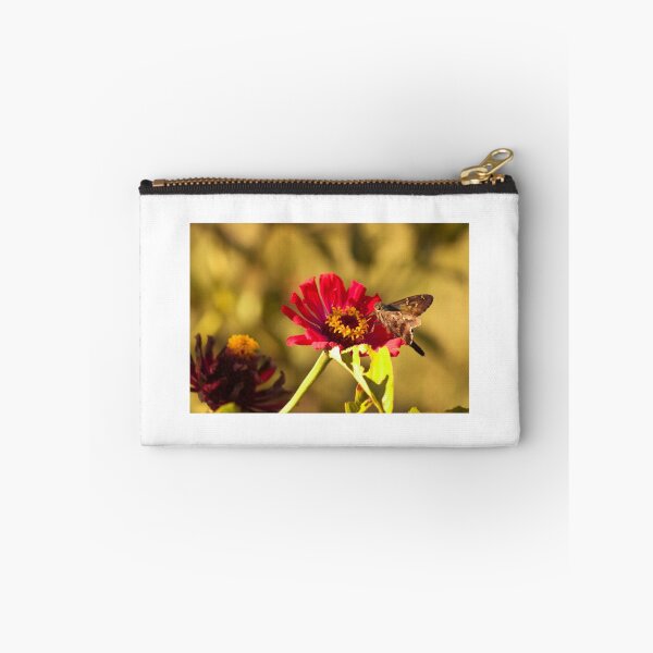 Aperçu de l'œuvre Moth on Red Daisies créée et vendue par AlixCollins.