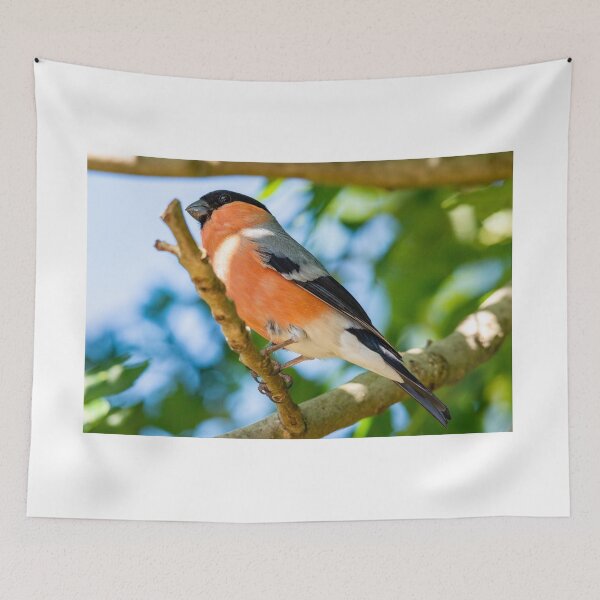 Item preview, Mr Bullfinch designed and sold by Mike Cave.