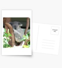 Sleepy Postcards