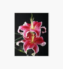 Stargazer Art Board