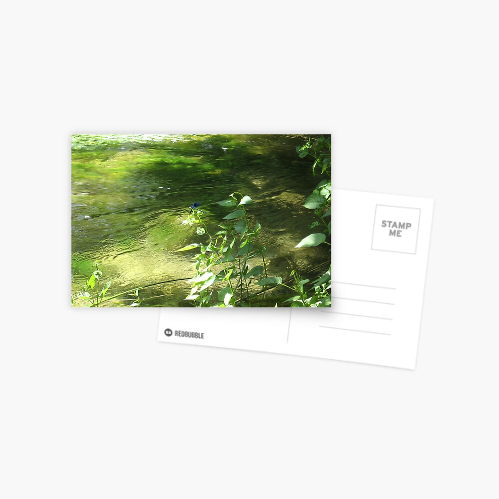 Item preview, Postcard designed and sold by TatianaMichaela.