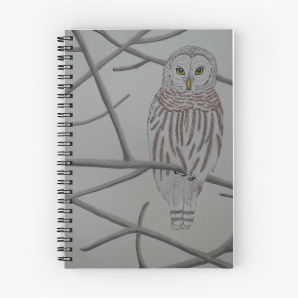 Aperçu de l'œuvre Hibou en hiver sur une branche créée et vendue par AlinaGordon.